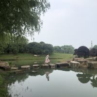 評論圖片 6