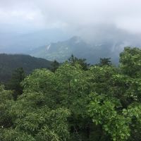 評論圖片 2