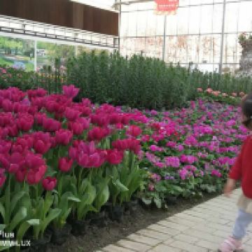 評論圖片 4