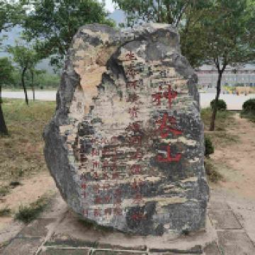 評論圖片 1
