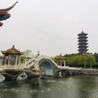 評論圖片 6