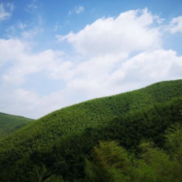 評論圖片 4