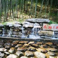 評論圖片 8