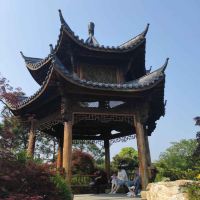 評論圖片 2