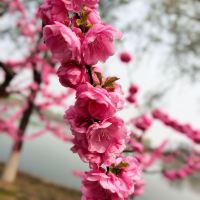 評論圖片 7