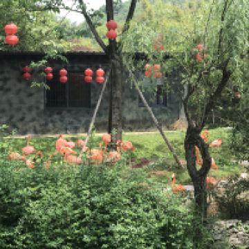 評論圖片 2