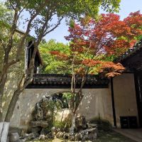 評論圖片 5