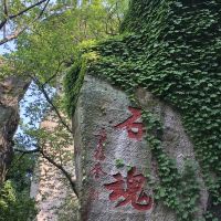 評論圖片 5