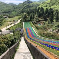 評論圖片 2