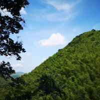 評論圖片 7