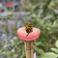 評論圖片 9