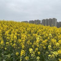 評論圖片 9