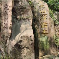 評論圖片 2