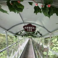 評論圖片 4