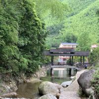 評論圖片 3