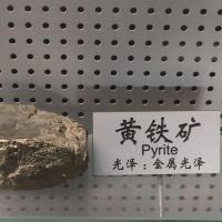評論圖片 3