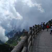 評論圖片 5