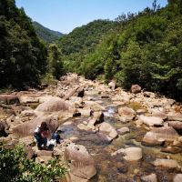 評論圖片 8