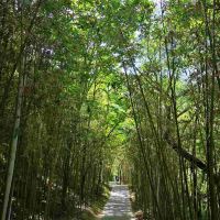 評論圖片 7