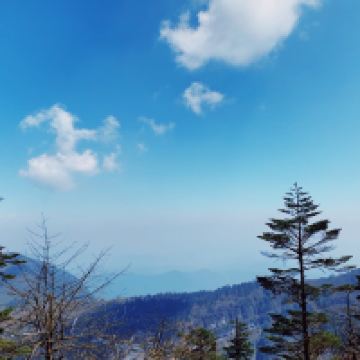 評論圖片 5
