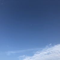 評論圖片 5