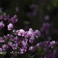 評論圖片 9