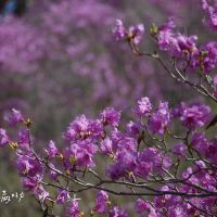 評論圖片 6