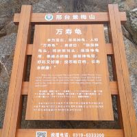 評論圖片 2