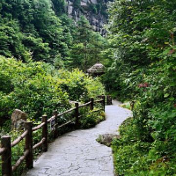 評論圖片 2