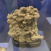 評論圖片 1