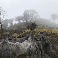 評論圖片 8