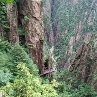 評論圖片 4