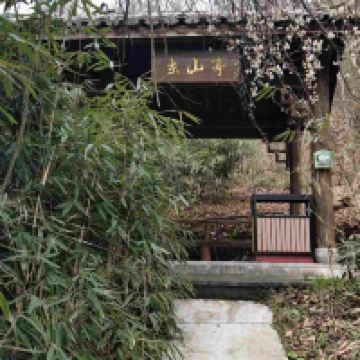 評論圖片 6