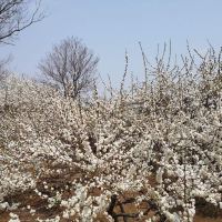評論圖片 1