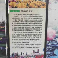 評論圖片 1