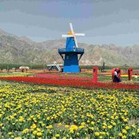 評論圖片 1