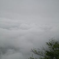 評論圖片 1
