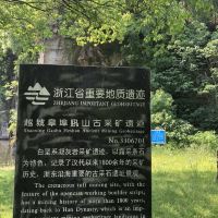 評論圖片 2