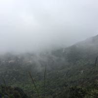 評論圖片 6