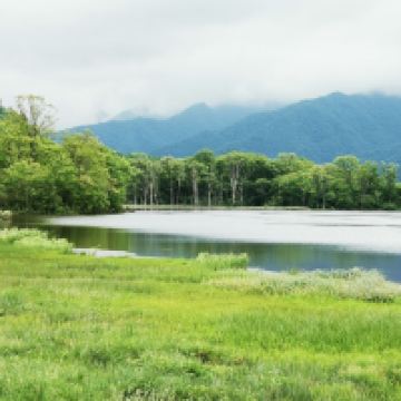 評論圖片 1