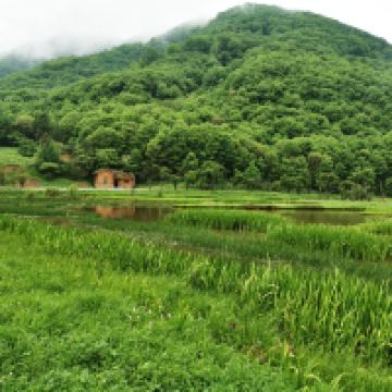評論圖片 8