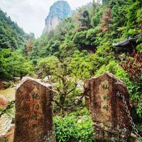 評論圖片 4