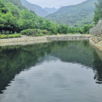 評論圖片 3