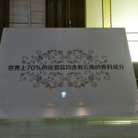 評論圖片 7