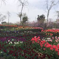 評論圖片 9