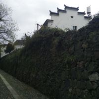 評論圖片 8