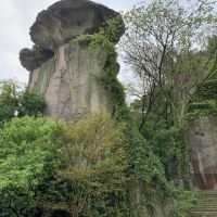 評論圖片 5