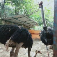 評論圖片 5