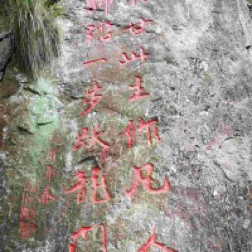 評論圖片 2