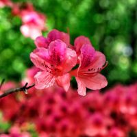 評論圖片 5